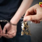 Bijelo Polje: Malojetniku prodao marihuanu, pa droga data drugom malojetniku radi distribucije?