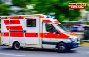 Muškarac iz Stubo premio nakon ujeda pčela i neuspješnog reanimiranja