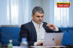 Čapuni: Ako samo jedna primorska opština može postati grad, problem je u zakonu