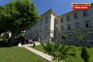 Pejović: Možda bi bilo dobro ići ka nekoj vrsti specijalizacije, odnosno usmjerenja unutar gimnazije