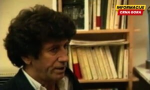 Traganje za smislom i suštinom poezije: Književno prevođenje i…