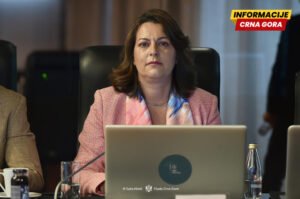 Vujović: Nasilju, pritiscima i zastrašivanju nema mjesta u kulturi, javnom prostoru, instituciji
