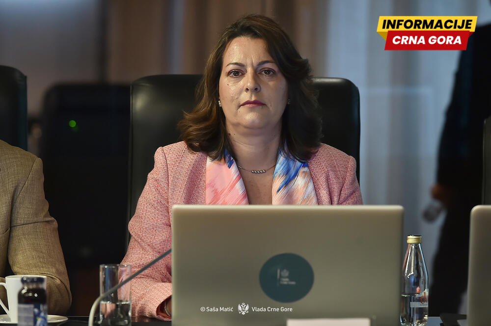 Vujović: Nasilju, pritiscima i zastrašivanju nema mjesta u kulturi, javnom prostoru, instituciji