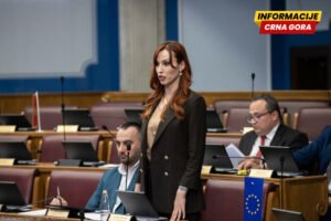 Vojinović: U uređenoj državi pošten čovjek brani policiju od…
