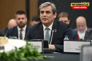 Ibrahimović: Na putu do EU potrebna spremnost za transformaciju društva