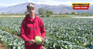 Nova generacija poljoprivrednika: 13-godišnji Aleksa poslije škole dolazi pravo na njivu
