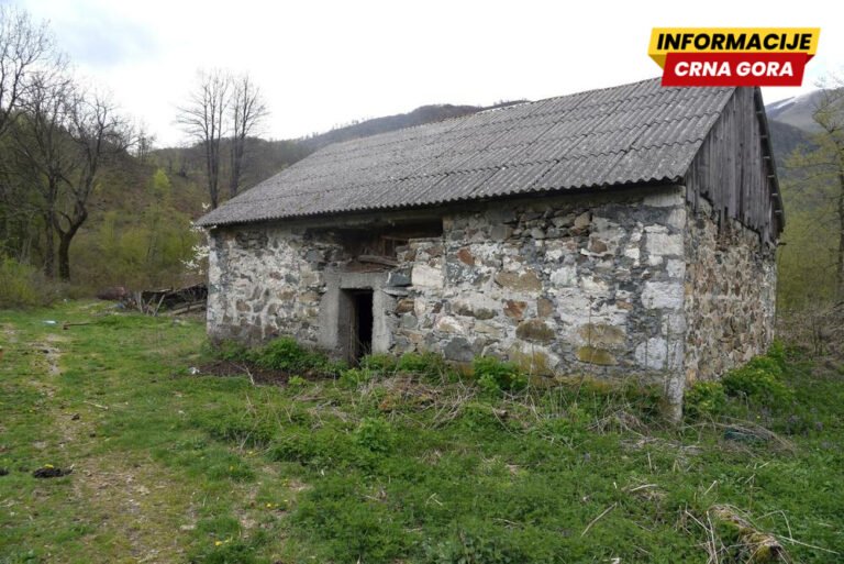 Društvo