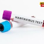 SZO: Tri osobe umrle vjerovatno od hantavirusa tokom krstarenja Atlantskim okeanom