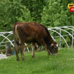 Bespovratno uzeli “samo” 7,92 miliona: Poljoprivrednicima kroz…