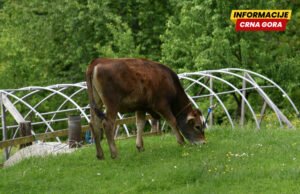Bespovratno uzeli “samo” 7,92 miliona: Poljoprivrednicima kroz…