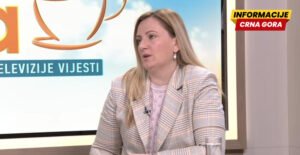 Dubak: Najbolje je otići u lokalnu organizaciju Crvenog krsta i pitati šta je u tom trenutku najpotrebnije