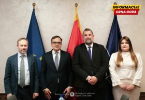 Partijska, ne državna službenica: Ministarstvu nije sporno što je…