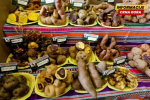 Ishrana zasnovana na krompiru promijenila genetiku naroda Anda