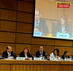 Pavličić: Država koja kontroliše oružje štiti život