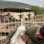 Vojska Izraela: Dva vojnika provešće sedmice u vojnom zatvoru zbog skrnavljenja kipa djevice Marije