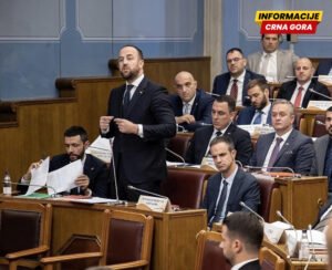CGO: Nikolić najaktivniji poslanik 28. saziva Skupštine