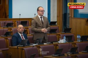 Ćulafić: Zakoni za klimatsku neutralnost do 2050. godine usvojeni, preostaje još dva koraka