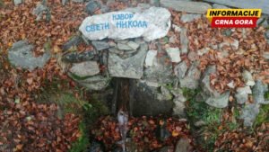 Šta nam govori otkriće izuzetno rijetke alge Srbiji