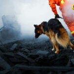 CIN – CG: Predlog zakona o geološkim istraživanjima doveo u pitanje seizmičku sigurnost u Crnoj Gori