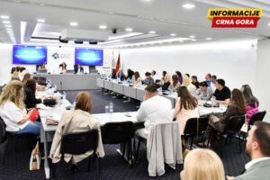 Vujović: Suština svih zakonskih rješenja mora biti zaštita potrošača i stvaranje stabilnog poslovnog ambijenta