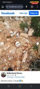 Pljevlja: Pronađeni lobanja i kosti, poslati na vještačenje