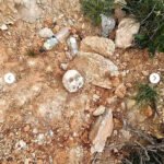 Pljevlja: Pronađeni lobanja i kosti, poslati na vještačenje