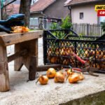 Subvencije za hranu, alat i preduzetnice: Vlada spremila 3,5 miliona eura za mikro, mala i srednja preduzeća