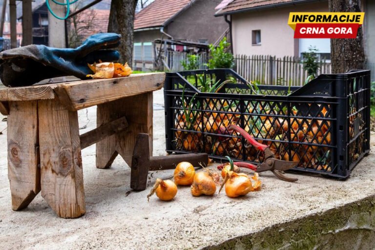 Subvencije za hranu, alat i preduzetnice: Vlada spremila 3,5 miliona eura za mikro, mala i srednja preduzeća