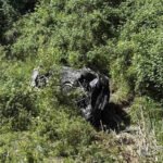Dvije osobe stradale u nesreći na putu Gubavač – Bistrica