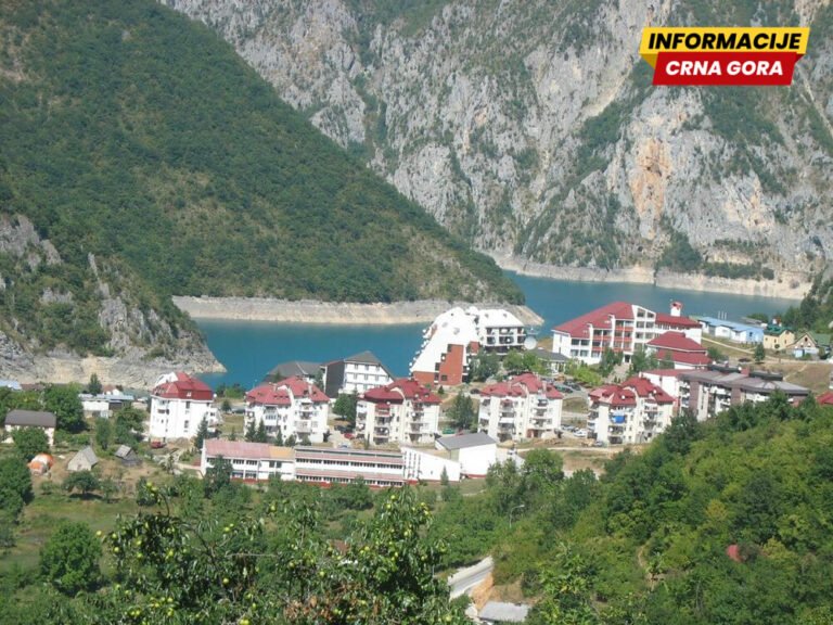 Društvo