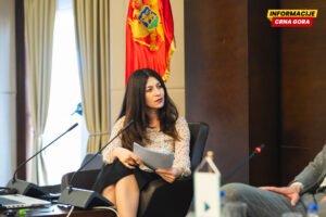 Eko tim: CBAM već utiče na izvoz struje, Crna Gora gubi cjenovnu prednost na EU tržištu