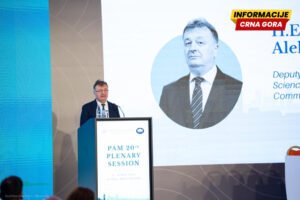 Aleksić: Obrazovanje je ključ za istinsko poštovanje ljudskih prava