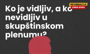 Poslanici i poslanički klubovi razlikuju se u aktivnostima u plenumu