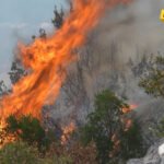 Novi zakon o procjeni uticaja na životnu sredinu: Manje ograničenja za odbrane i hitne situacije