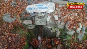 Šta nam govori otkriće izuzetno retke alge Srbiji