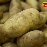 Kontrolisano više od 2.200 pošiljki: Uništeno 7,5 tona krompira i 520 kilograma mladog luka