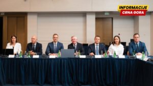 Mitrović novi predsjednik Savjeta stranih investitora