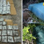 Uhapšen osumnjičeni za krijumčarenje 63 kilograma marihuane