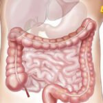 Nutricionisti: Ako želite zdravija crijeva, u ishranu uključite četiri namirnice