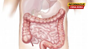 Nutricionisti: Za zdravije crijeva, unesite četiri ključne namirnice u ishranu