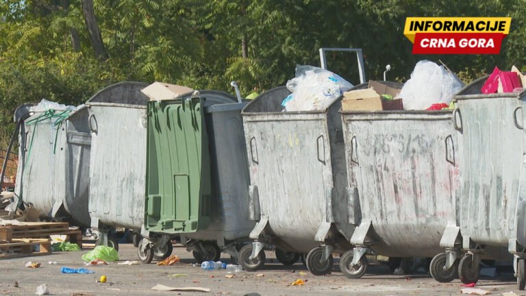 Društvo