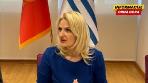Borovinić Bojović: Opozicija se pokušava manipulirati građanima