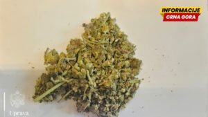 Uhapšen osumnjičeni koji se dovodi u vezu sa krijumčarenjem 107 kilograma marihuane preko Skadarskog jezera