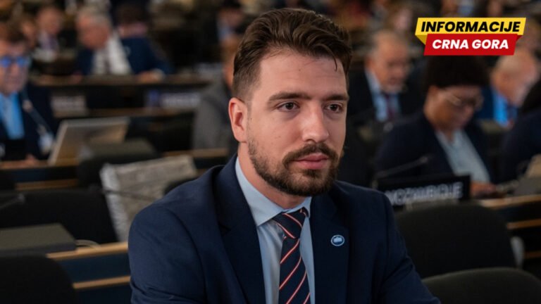 Miličić: Unionistička ideja danas živi kroz evropsku budućnost