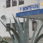 Montefarm: Realizirali smo 97% preporuka DRI-ja