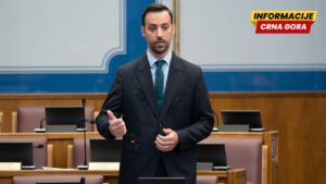 Zirojević: Kukavički isturaju žene da umjesto njih vode političke borbe