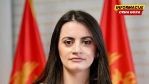 Vesković: Odluka o datumu održavanja parlamentarnih izbora u nadležnosti je predsjednika Crne Gore