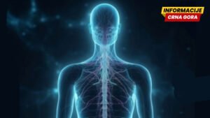 Biofotoni: Sutelna svjetlosna aktivnost organizma kao potencijalni biomarker