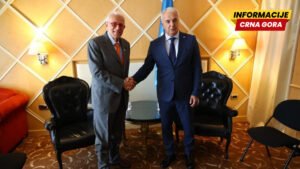 Đurović i Amoruso: Jačati ulogu parlamentarne diplomatije u vremenu krize multilateralizma