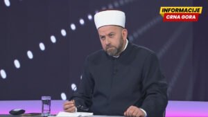 Fejzić: Građanska država ne može imati fašističku vojsku
